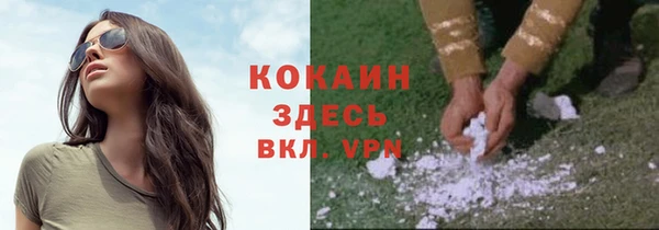 амф Осинники