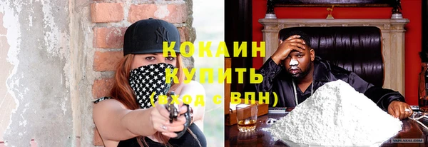 амф Осинники