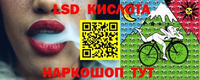 spice Заводоуковск