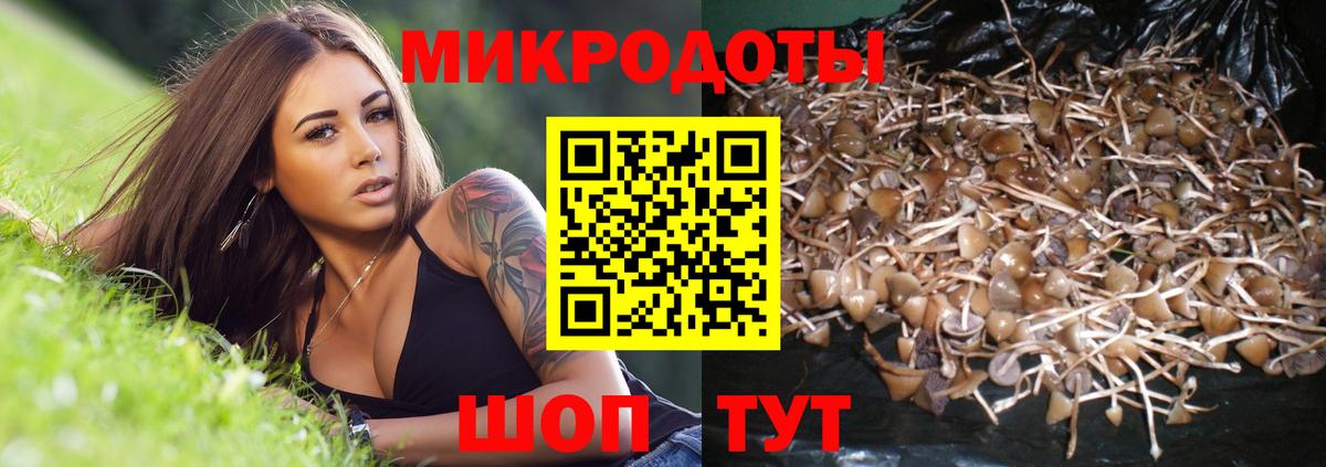 Псилоцибиновые грибы ЛСД Серов