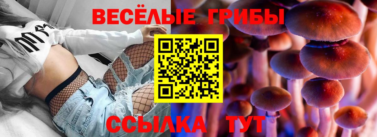 Галлюциногенные грибы Psilocybine cubensis  Серов  купить закладку  Псилоцибиновые грибы Cubensis 