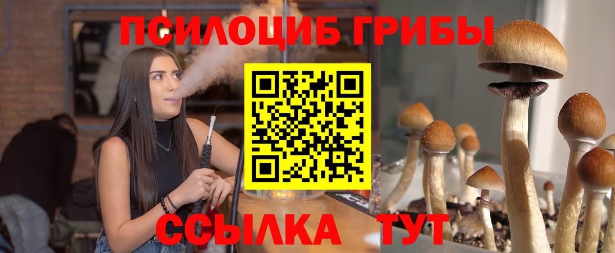 Галлюциногенные грибы Cubensis Серов